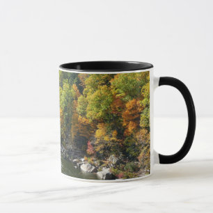 Fall Colour at Ohiopyle State Park Mug
