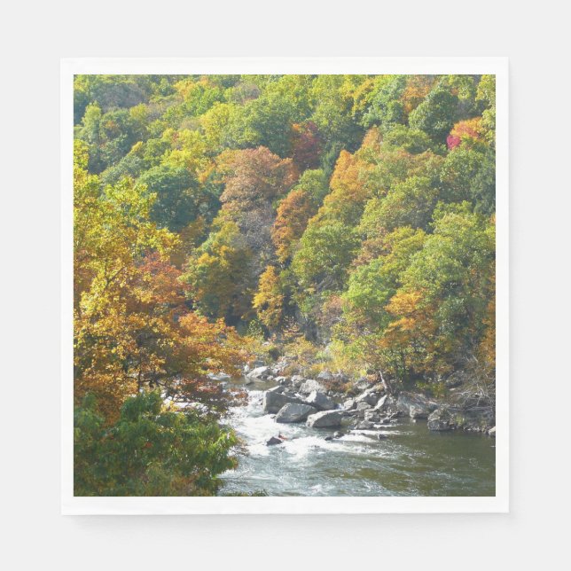 Fall Colour at Ohiopyle State Park Napkin (Front)