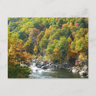 Fall Colour at Ohiopyle State Park Postcard