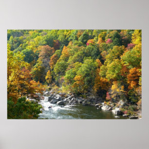 Fall Colour at Ohiopyle State Park Poster