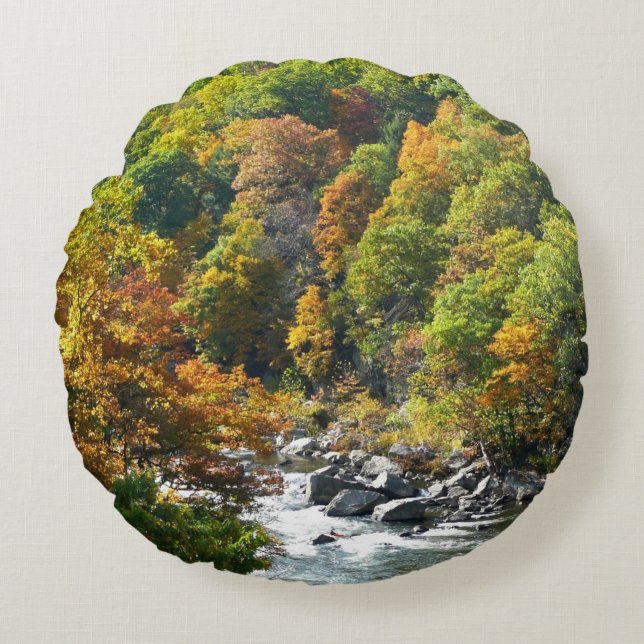 Fall Colour at Ohiopyle State Park Round Cushion (Front)