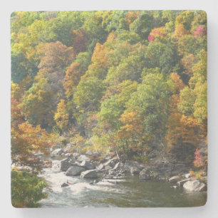Fall Colour at Ohiopyle State Park Stone Coaster