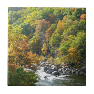 Fall Colour at Ohiopyle State Park Tile