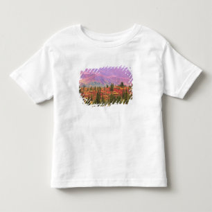 Fall colour in Denali National Park Toddler T-Shirt
