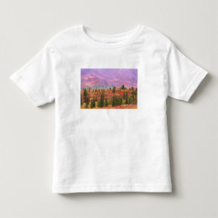 Fall colour in Denali National Park Toddler T-Shirt