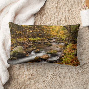 Fall Colour Jefferson Brook White Mountains Lumbar Cushion