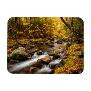 Fall Colour Jefferson Brook White Mountains Magnet