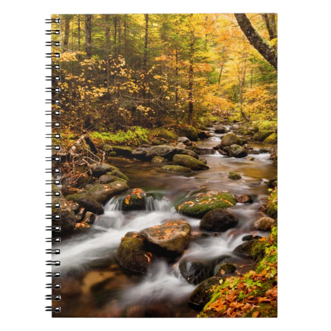 Fall Colour Jefferson Brook | White Mountains Notebook (Front)