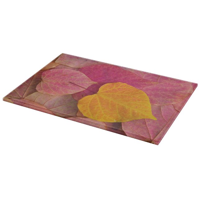 Fall colour on Forest Pansy Redbud fallen Cutting Board (Corner)