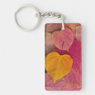 Fall colour on Forest Pansy Redbud fallen Key Ring
