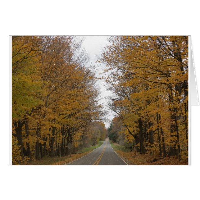 Fall colour on roads around Pine Lake (Front Horizontal)