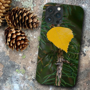 Fall Colour Yellow Quaking Aspen Leaf Photograph iPhone 13 Pro Max Case