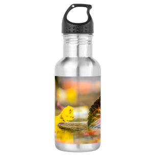 Fall colours 532 ml water bottle