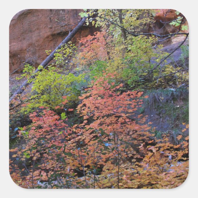Fall colours all around square sticker (Front)