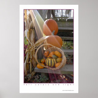 fall colours and light poster