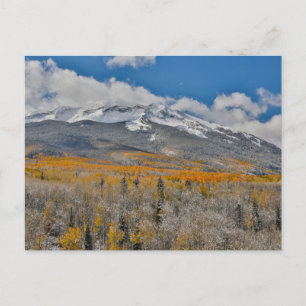 Fall Colours Aspens &    Rocky Mountains, Colorado Postcard