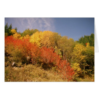 Fall Colours at Mt. Hood