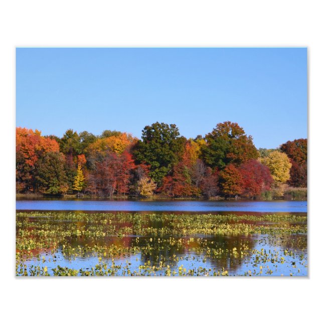Fall colours at the wildlife refuge photo print (Front)