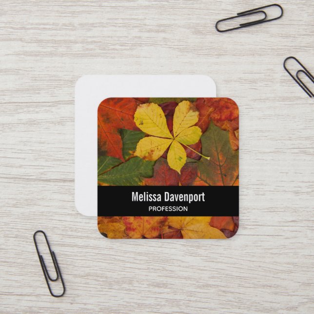 Fall Colours Autumn Leaves Photograph Square Business Card (Front/Back In Situ)