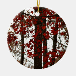 Fall Colours Autumn Trees Red Canadian Maple Ceramic Ornament