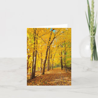 Fall colours blank notecard
