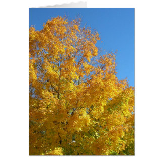 Fall Colours Card