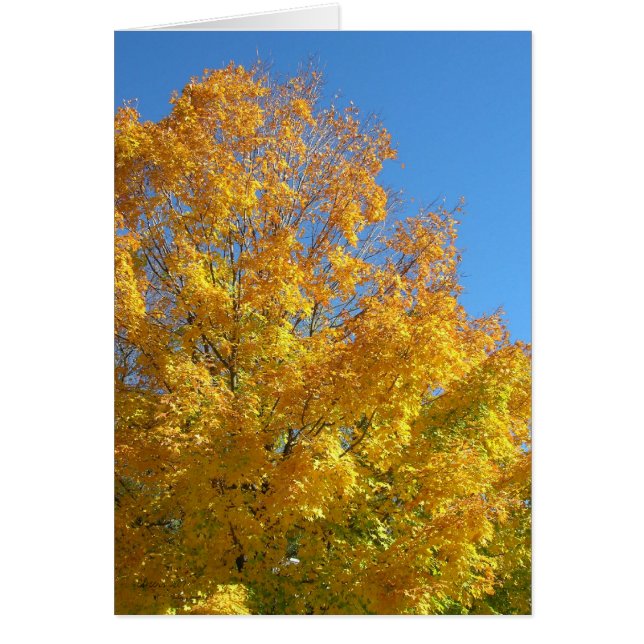 Fall Colours Card (Front)