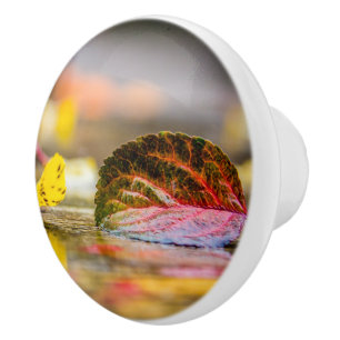 Fall colours ceramic knob