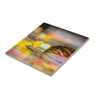 Fall colours ceramic tile