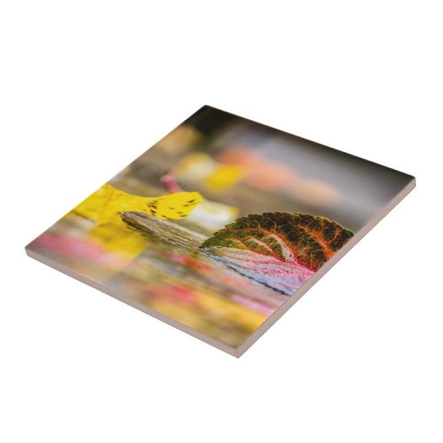 Fall colours ceramic tile (Side)