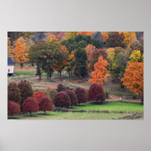 Fall Colours in Massachusetts Poster