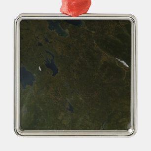 Fall colours in northwestern Russia Metal Tree Decoration