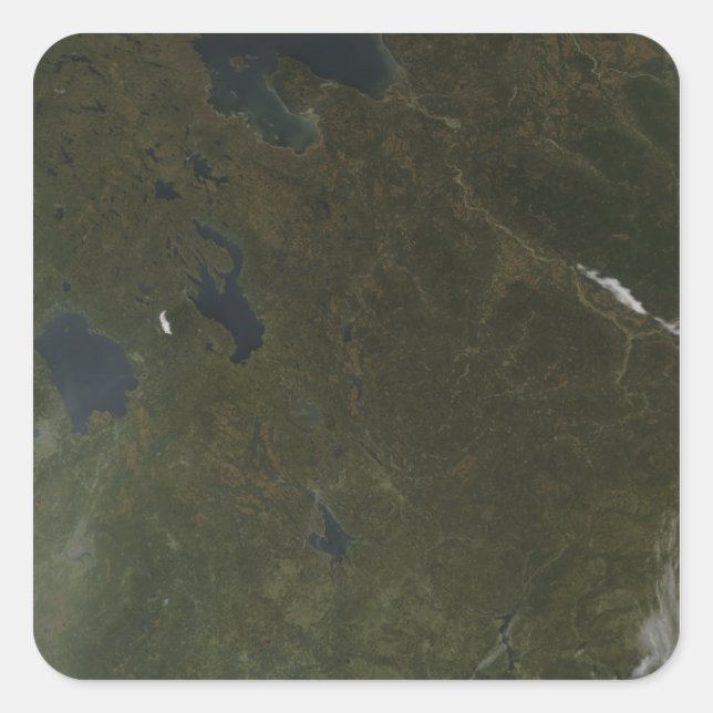 Fall colours in northwestern Russia Square Sticker (Front)