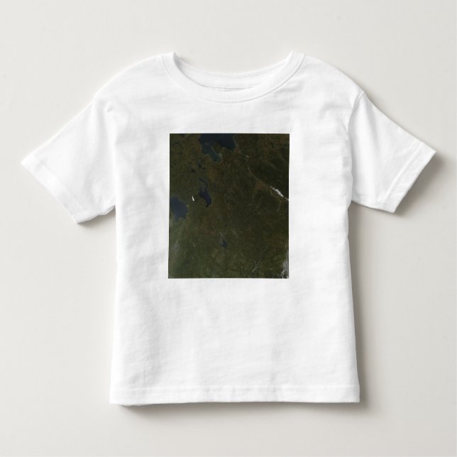 Fall colours in northwestern Russia Toddler T-Shirt (Front)