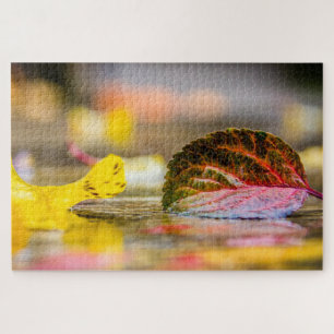 Fall colours jigsaw puzzle
