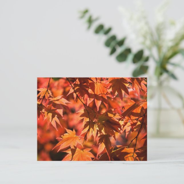 Fall Colours Leaves Red Holiday Postcard (Standing Front)