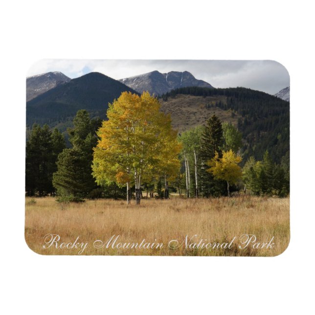 Fall Colours Mummy Range Rocky Mtn National Park Magnet (Horizontal)
