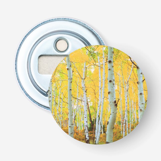 Fall colours of Aspen trees 1 Bottle Opener (Front)