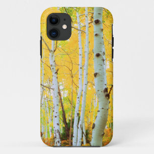Fall colours of Aspen trees 1 iPhone 11 Case