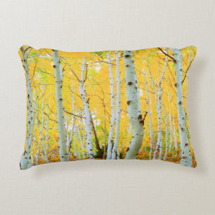 Fall colours of Aspen trees 1 Decorative Cushion
