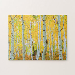 Fall colours of Aspen trees 1 Jigsaw Puzzle