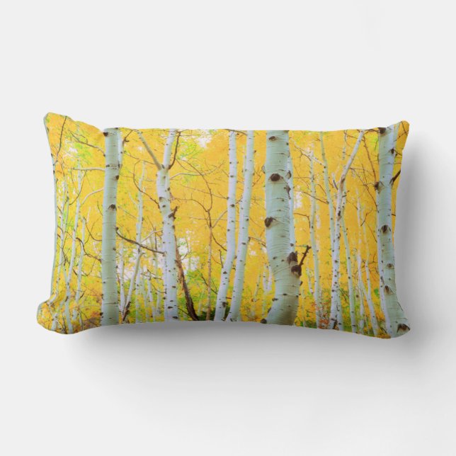 Fall colours of Aspen trees 1 Lumbar Cushion (Front)