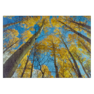 Fall colours of Aspen trees 2 Cutting Board