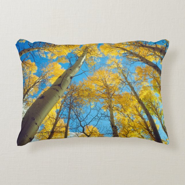 Fall colours of Aspen trees 2 Decorative Cushion (Front)