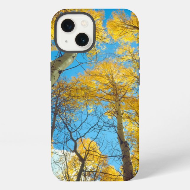 Fall colours of Aspen trees 2 iPhone Case (Back)