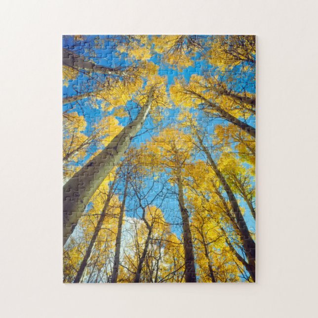 Fall colours of Aspen trees 2 Jigsaw Puzzle (Vertical)
