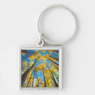 Fall colours of Aspen trees 2 Key Ring