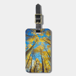 Fall colours of Aspen trees 2 Luggage Tag
