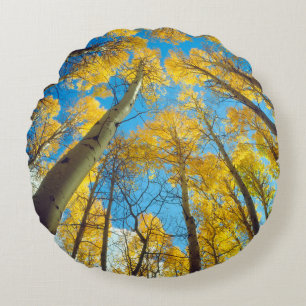 Fall colours of Aspen trees 2 Round Cushion