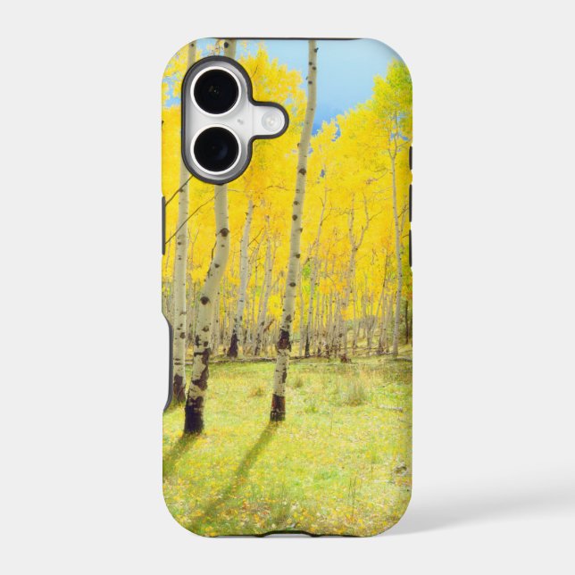 Fall colours of Aspen trees 4 (Back)